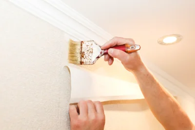 Pose de papier peint à Labastide-Esparbairenque — revêtements muraux et toiles de verre